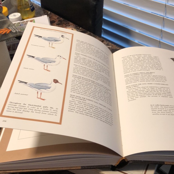 Character Sketches From The Pages Of Scripture Illustrated In The World - Picture 14 of 15